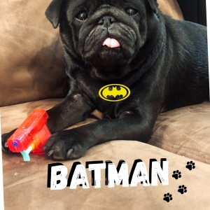 Batman, de Carlin