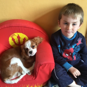 Bella, le Cavalier King Charles Epagneul