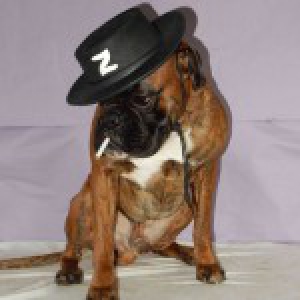 Braco, le Boxer