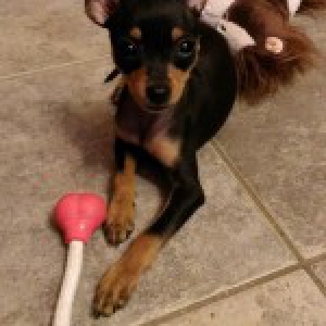 Chlo&eacute;, de Pincer