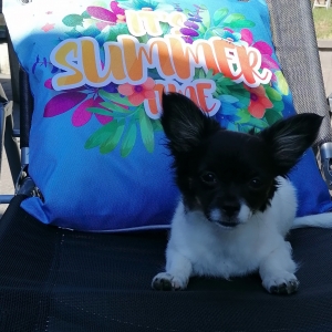 Flo, de Chihuahua
