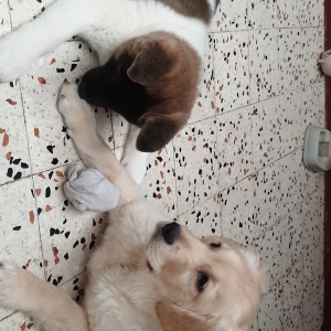 Frida, de Offre Exceptionnelle