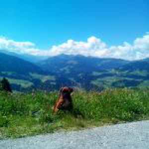 Jacob, de Boxer