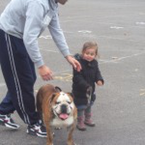 Jarko, le Bouledogue Anglais