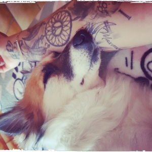 Kyra, de Adorables chiots croisé