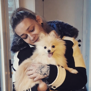 Marley, de Dwergkees / Keeshond / Pomeriaan