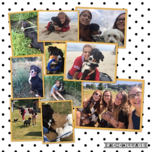 Max, De Super Berner Sennen!