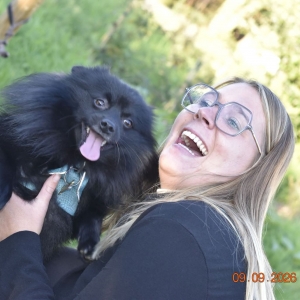 Odin, de Dwergkees / Keeshond / Pomeriaan