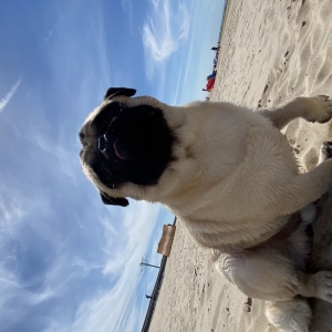 Serchh et Lucien, de Carlin