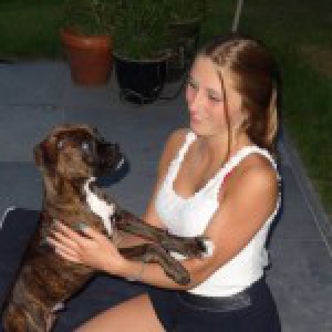 Simba, de Boxer