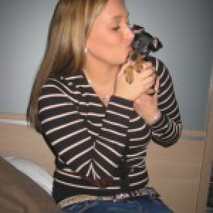 Zino, de Dwergpinscher